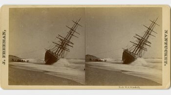 What a View Stereograph Exhibit