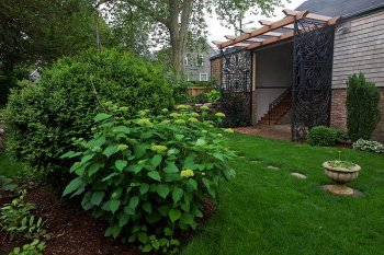 Greater Light garden view from back toward patio.