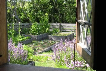 Oldest House Kitchen Garden, photographer Kathrina Marques.