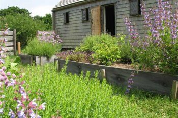 Oldest House Kitchen Garden, photographer Kathrina Marques.
