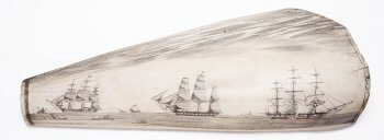 Engraved Jawpan of Whale